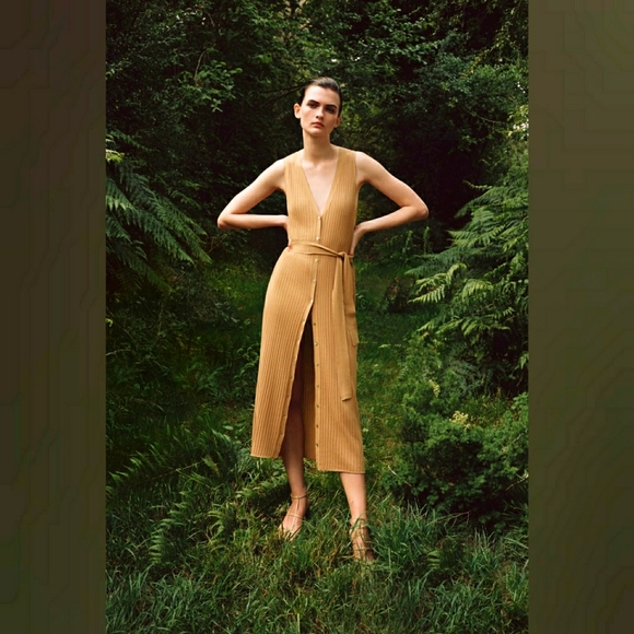 Zara Dresses & Skirts - Zara Knitted Button Down dress